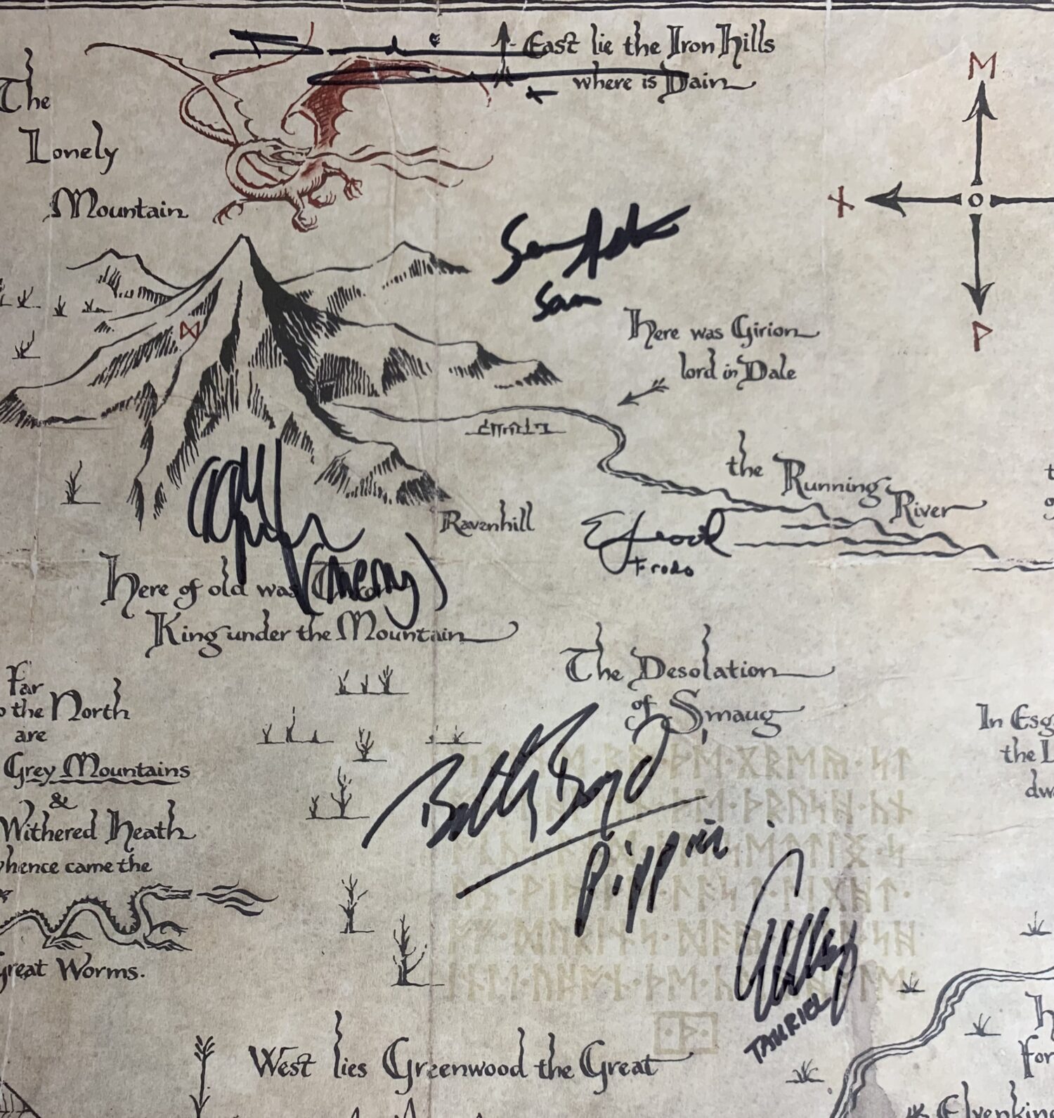 IN STOCK~Map of Middle Earth~SIGNED by Elijah Wood (with character name)+Sean Astin (with character name)+Billy Boyd (with character name)+Dominic Monaghan (with character name)+Evangeline Lilly (with character name)+Benedict Cumberbatch+JSA & BAS COA - Image 4